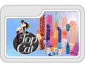 Top Sex Toy Brands