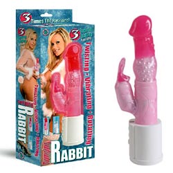 Romping Rabbit