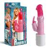 Romping Rabbit