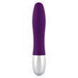 Discretion Probe Purple