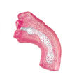 Deep Throat Stroker