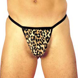 Leopard Brief