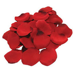 
Seductive Red Rose Petals