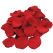 Seductive Red Rose Petals