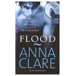Flood