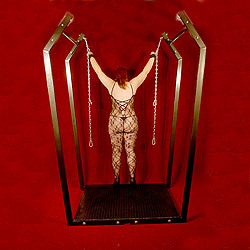 
House of Eros 4 Point Suspension Frame