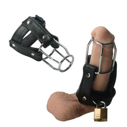 
Strict Leather Stallion Guard