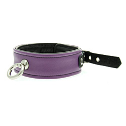 Bound to Tease Collar