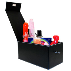 
Devine Toy Box Black