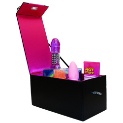 
Devine Toy Box Hot Pink Corset