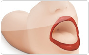 Blow Job Toys