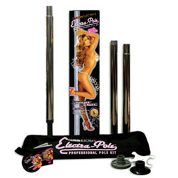 Carmen Electra Dance Pole