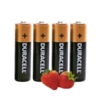 Duracell Upgrade