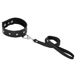 
Leather Leash and Collar