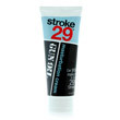 Stroke 29